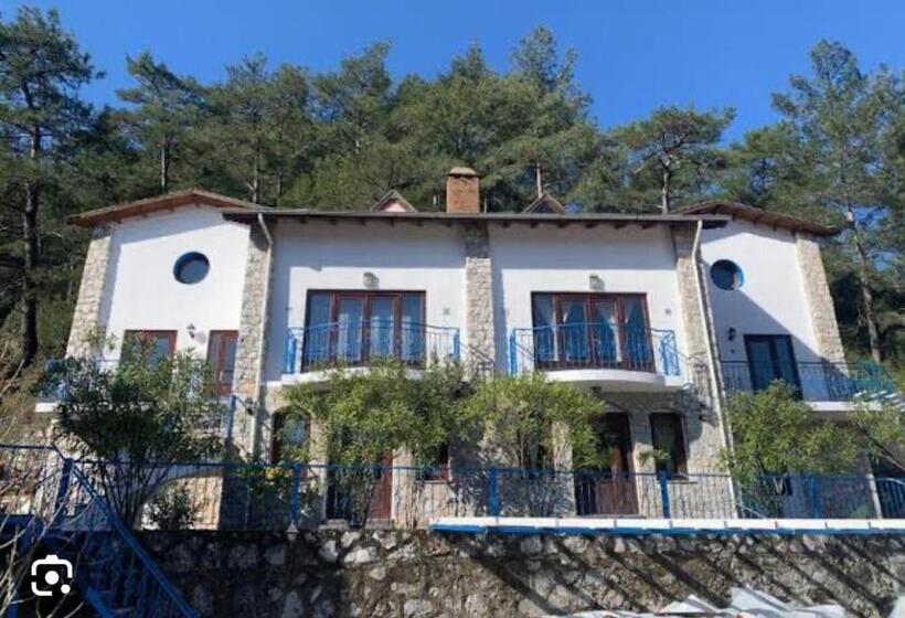 Alp Inn Butik Apart Ve Restoran