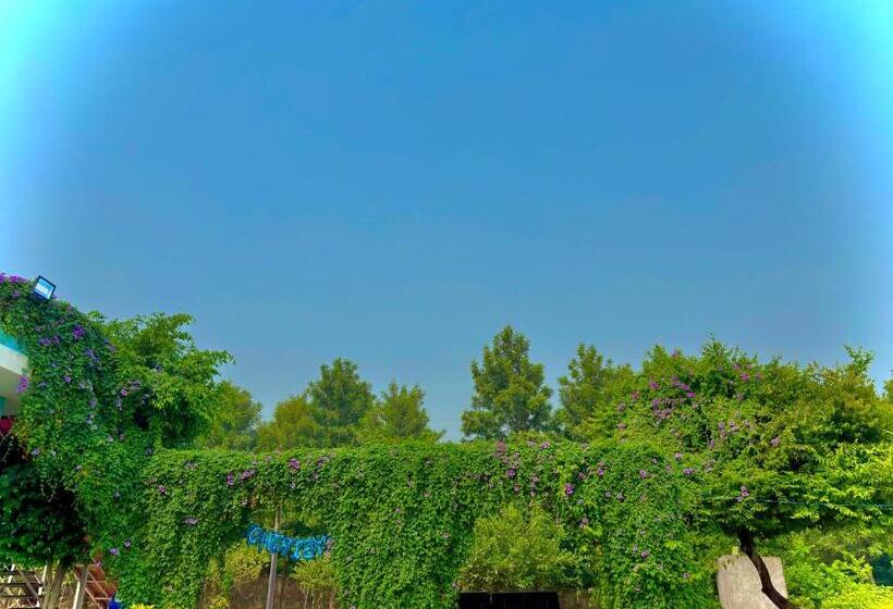 Отель Private Patties Farmhouse Gurgaon