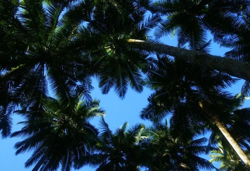 پانسیون Kabunohi Sorake