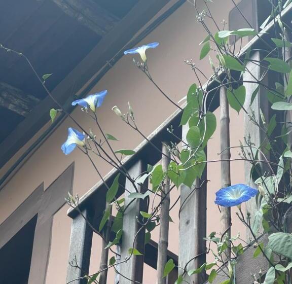 تختخواب و صبحانه Campus Residencias