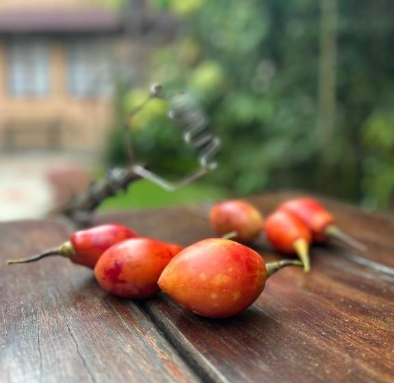 تختخواب و صبحانه Campus Residencias