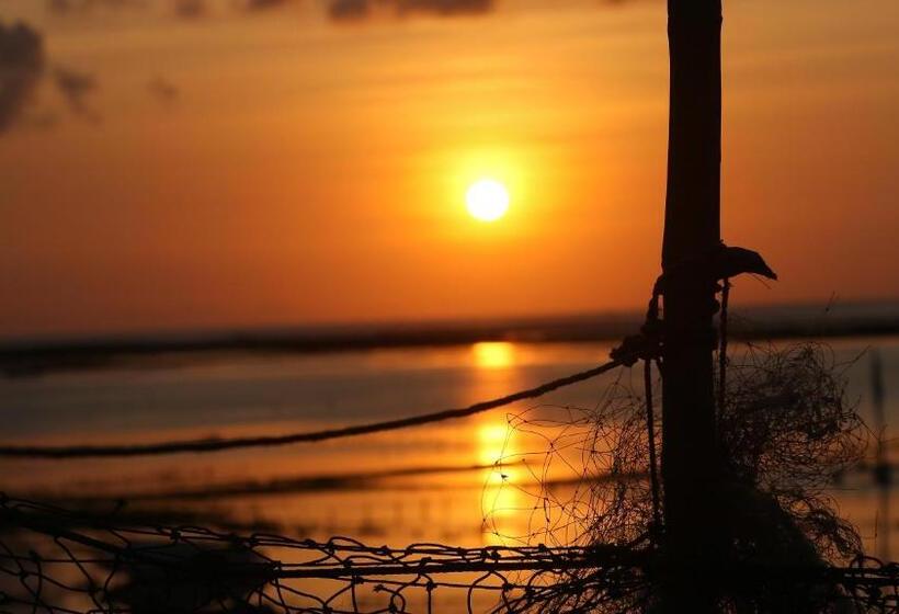 تختخواب و صبحانه Sunset Bungalow