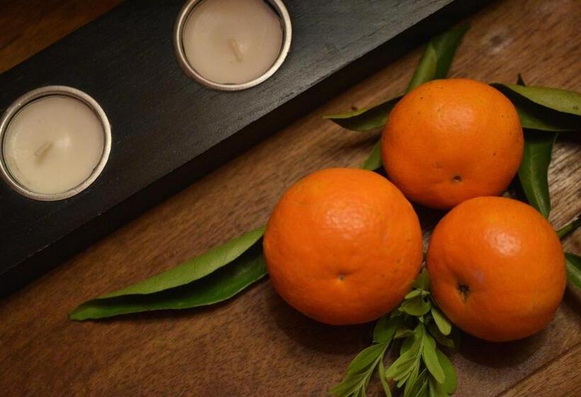 בית מלון כפרי Herdade Reguenguinho