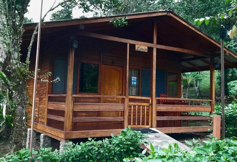 هتل Hosteria Madera Fina