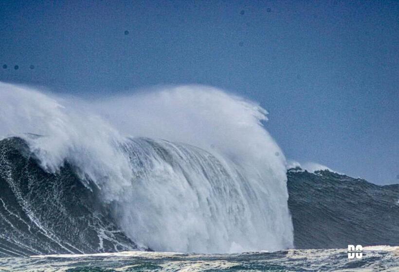 بنسيون Nazaré Wsl Experience 2025