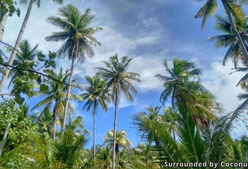 استراحتگاه Mansuar Raja Ampat Bungalows