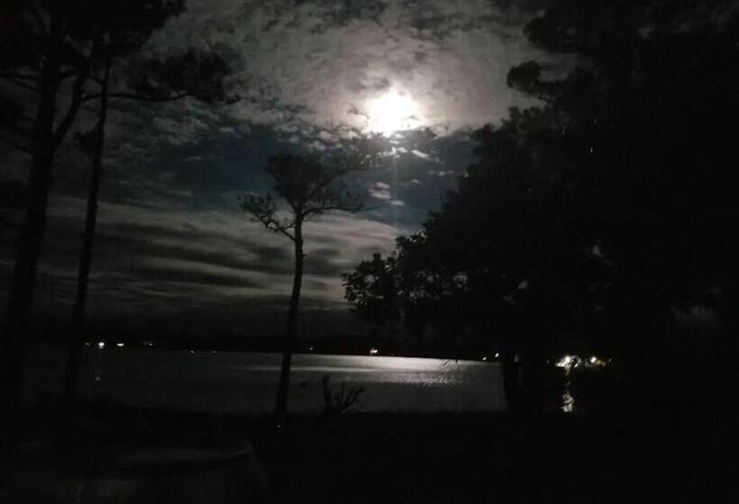 ベッドアンドブレックファースト Gloucester House