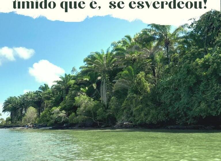 ユースホステル Pousada Raio De Sol   Ilha De Itaparica  Catu á 150 M Da Praia