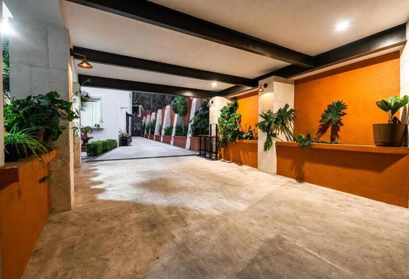 膳宿费 Casa Tizates  Suite Avandaro