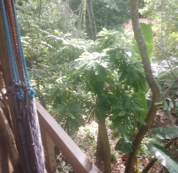 Onat Caribe Hostel