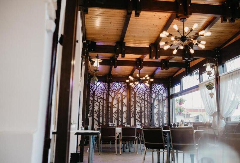 فندق Pensiunea Ana