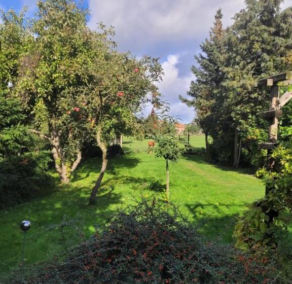 פנסיון Hirschhof Hildebrandt