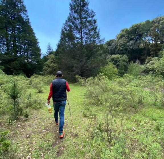 بنسيون Hostal La Roca