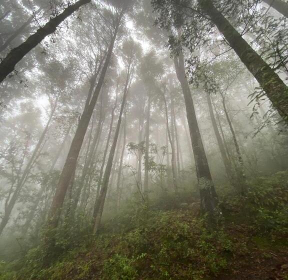 بنسيون Hostal La Roca