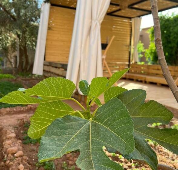 بنسيون Friendly Dades Lodge