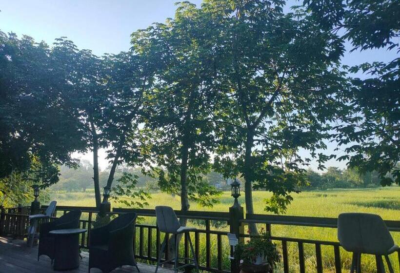 เดือนเพ็ญ รีสอร์ต Duanphen Resort