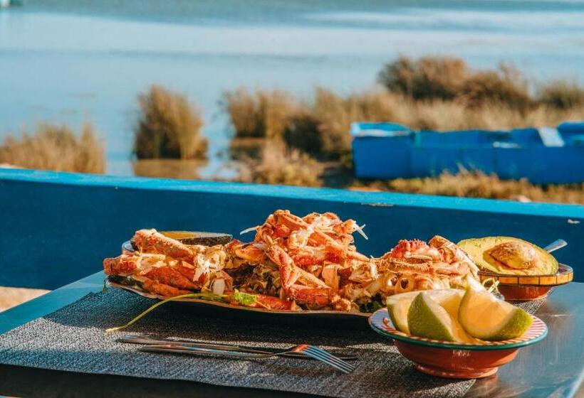 هاستل Lacasa Latifa