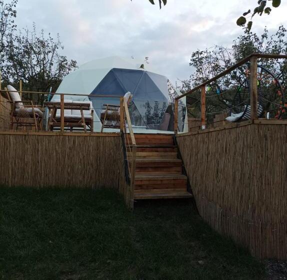 ベッドアンドブレックファースト Sapanca Palmera Dome