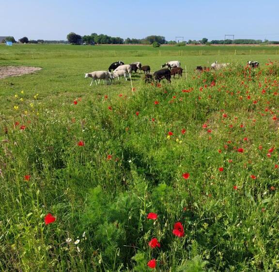 בית מלון כפרי Boerderijkamer De Delle
