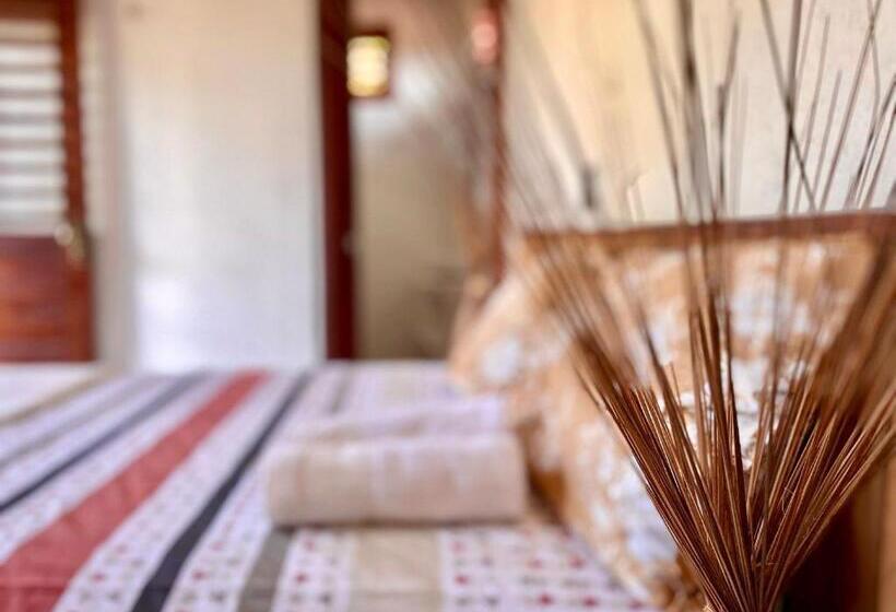 پانسیون Pousada Casa Velha Moitas