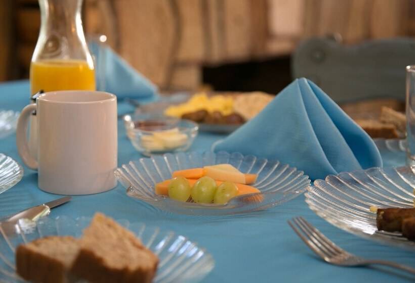 فندق Anchor Inn Nsb Bed And Breakfast