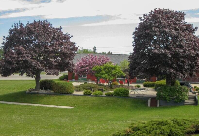 ホテル Cedar Hill Lodge