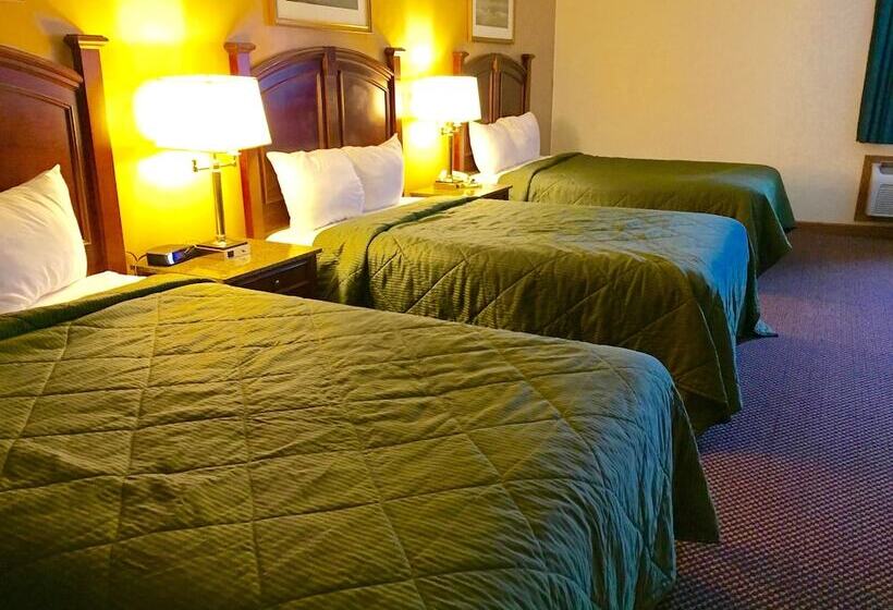 ホテル Executive Inn And Suites