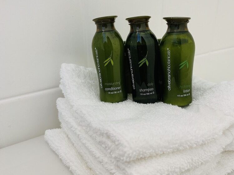 فندق Sabal Palms Inn