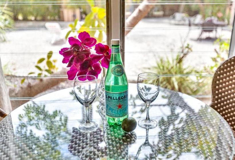 فندق Parrot Nest