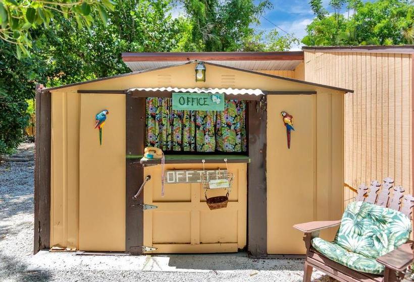 فندق Parrot Nest