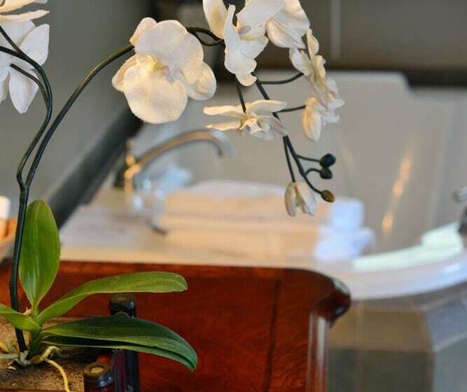 هتل White Rose Inns
