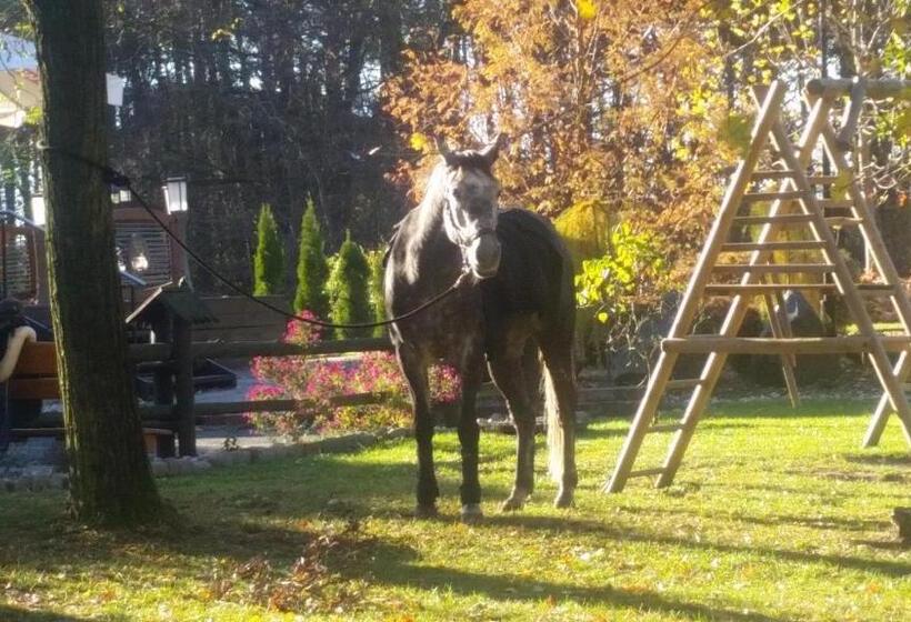 בית מלון כפרי Zajazd Pod Niedźwiedziem