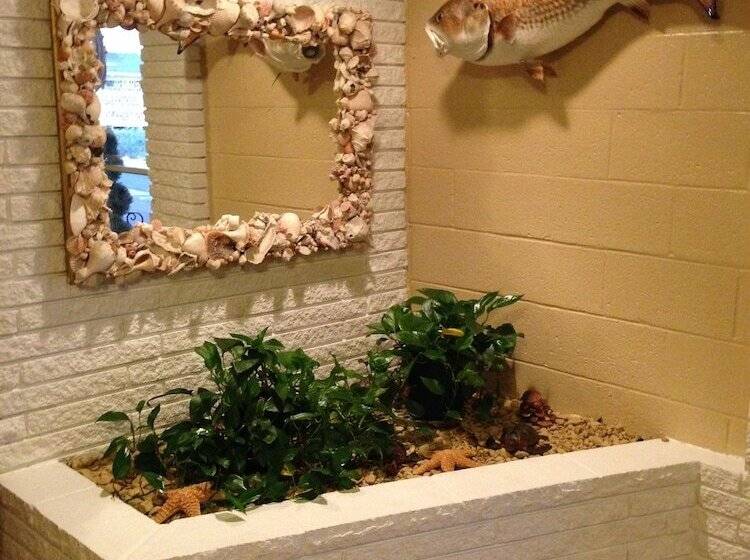 Shark Reef Resort Motel & Cottages