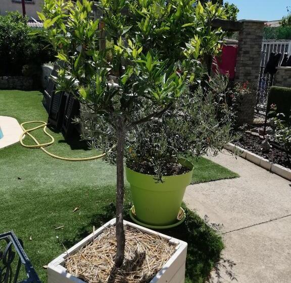 ベッドアンドブレックファースト Gîte Et Chambre D Hôte Entre Tilleul Et Agrumes