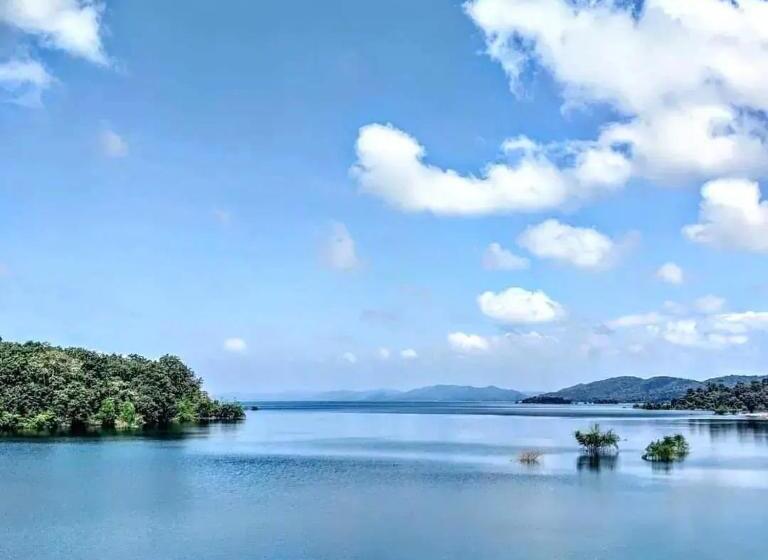 酒店 Dandeli Jungle County