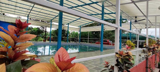 فندق Splash Resort
