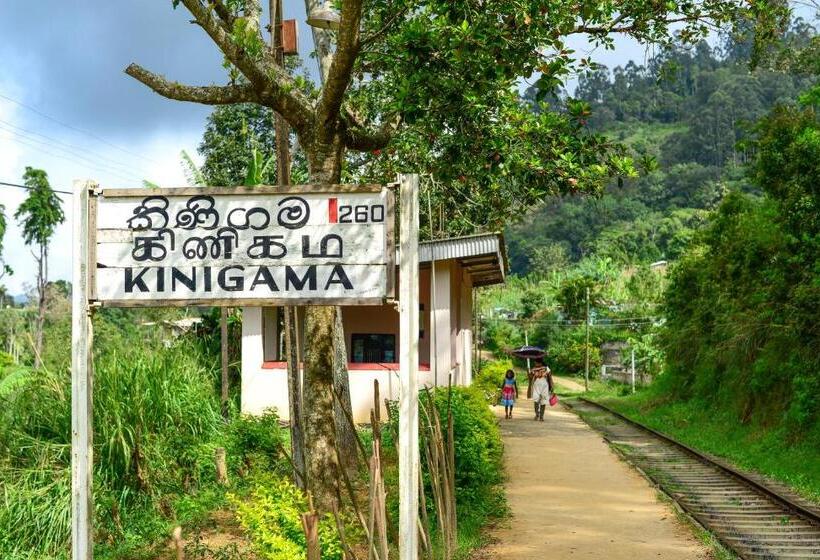 مبيت وإفطار Club Doonvale