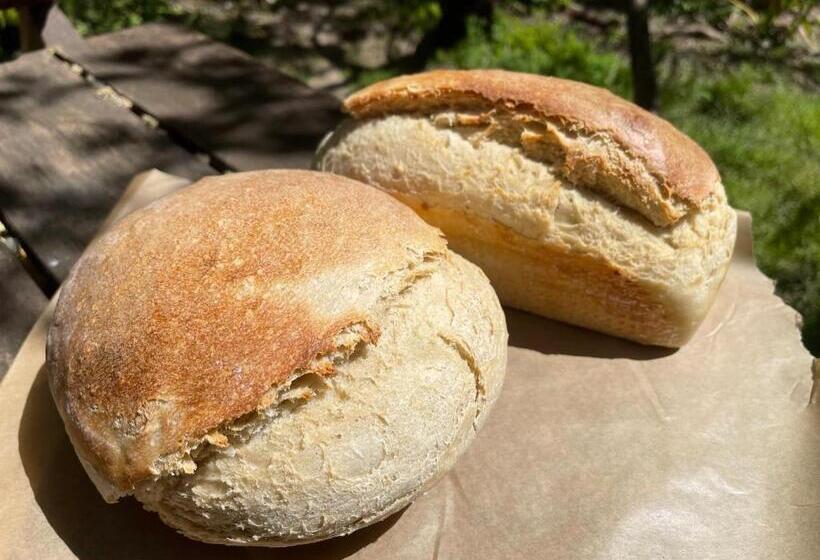 تختخواب و صبحانه El Boho