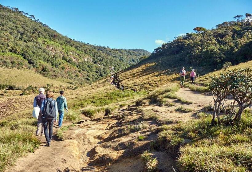 ベッドアンドブレックファースト Queen S Inn