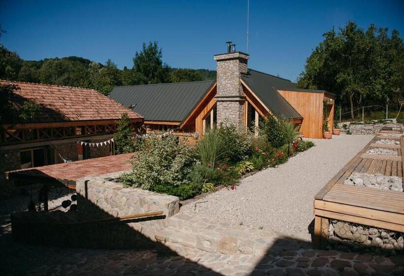 بنسيون Purplevague