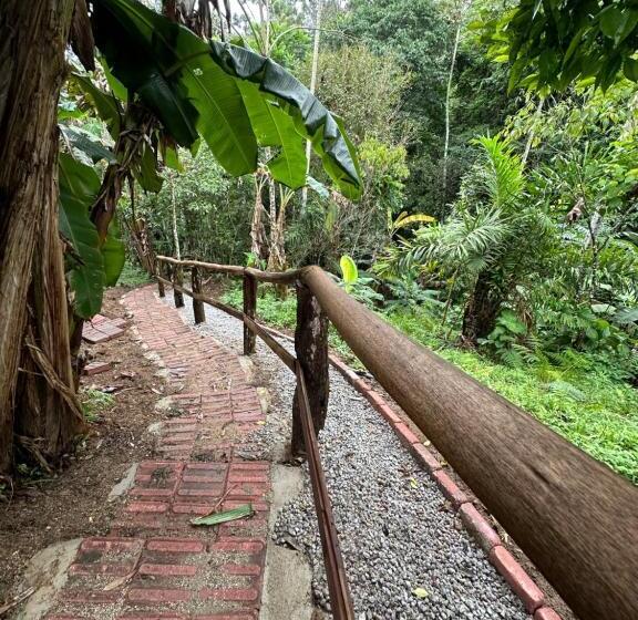 פנסיון Vila Dos Pássaros, Quarto 02
