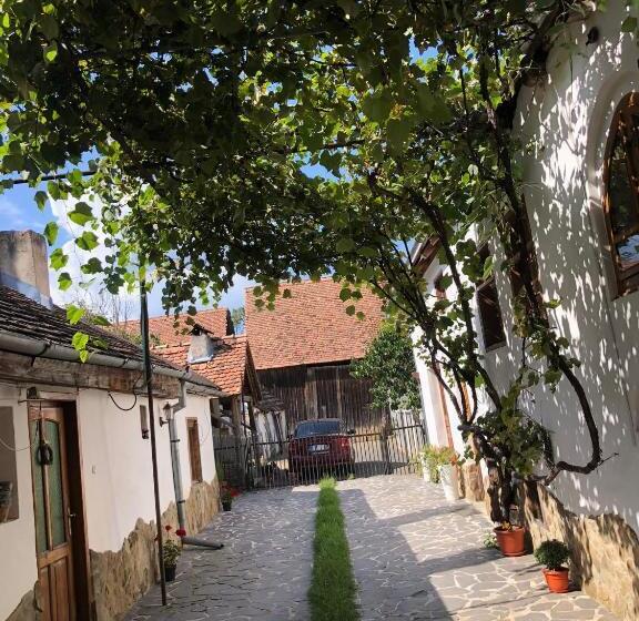 민박 Facilitati Cazare Raluca