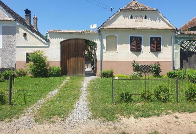 민박 Facilitati Cazare Raluca