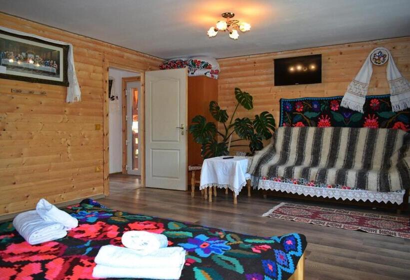 بنسيون Casa Vladicu