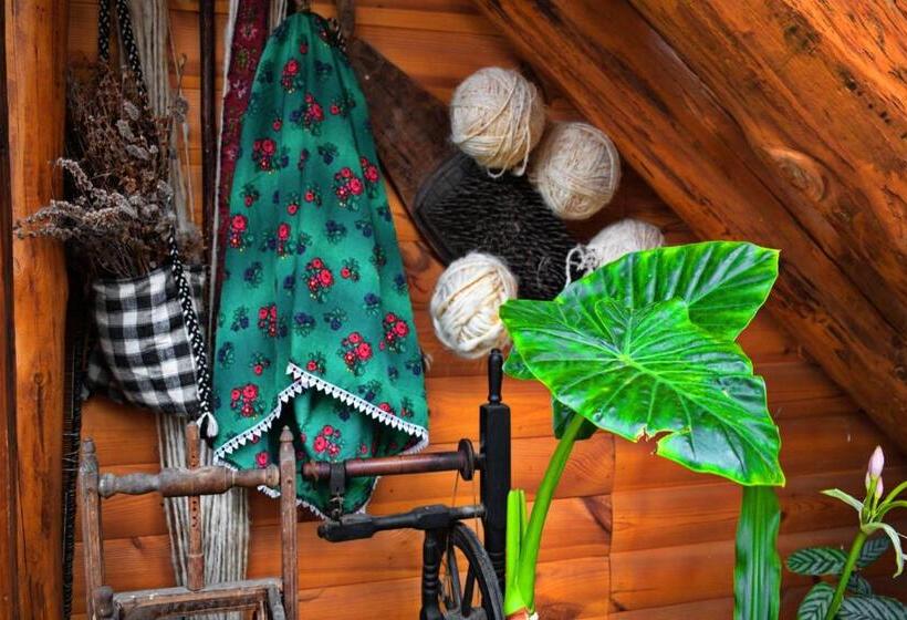 بنسيون Casa Vladicu