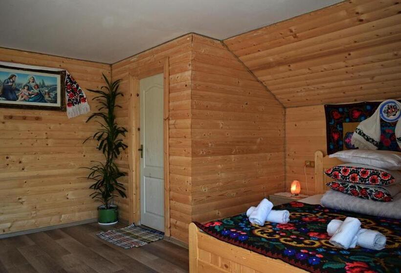 بنسيون Casa Vladicu