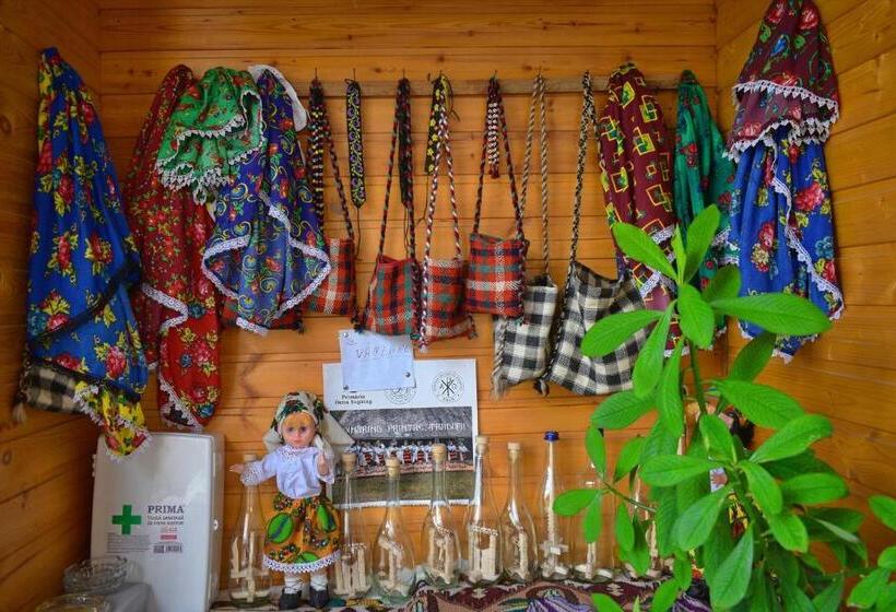 بنسيون Casa Vladicu