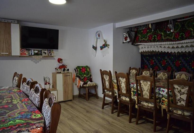 بنسيون Casa Vladicu