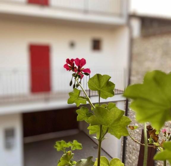 ペンション La Volpe Rossa Rooms And Apartments