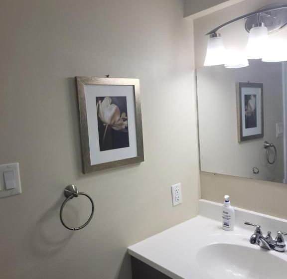 膳宿费 Lovely Guest Entire Apartment Minutes From Ottawa Airport